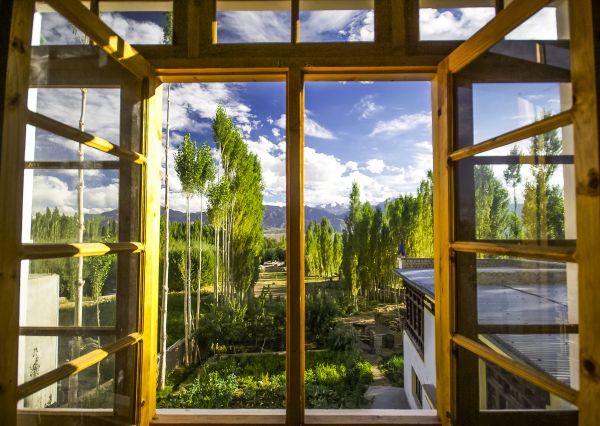 Wood Window Replacement in Sebastian