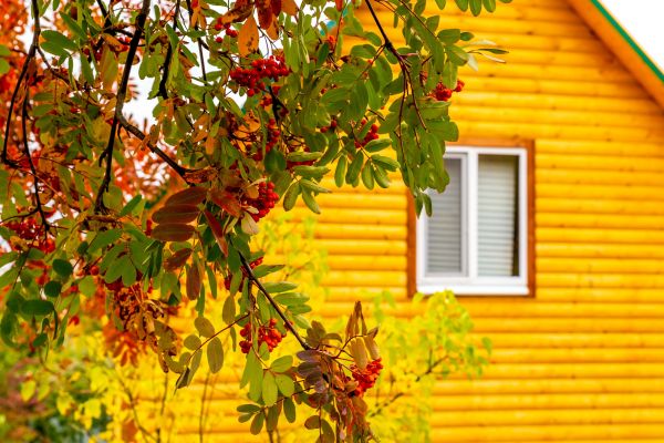 Cost of Garden Window Replacement in Sebastian